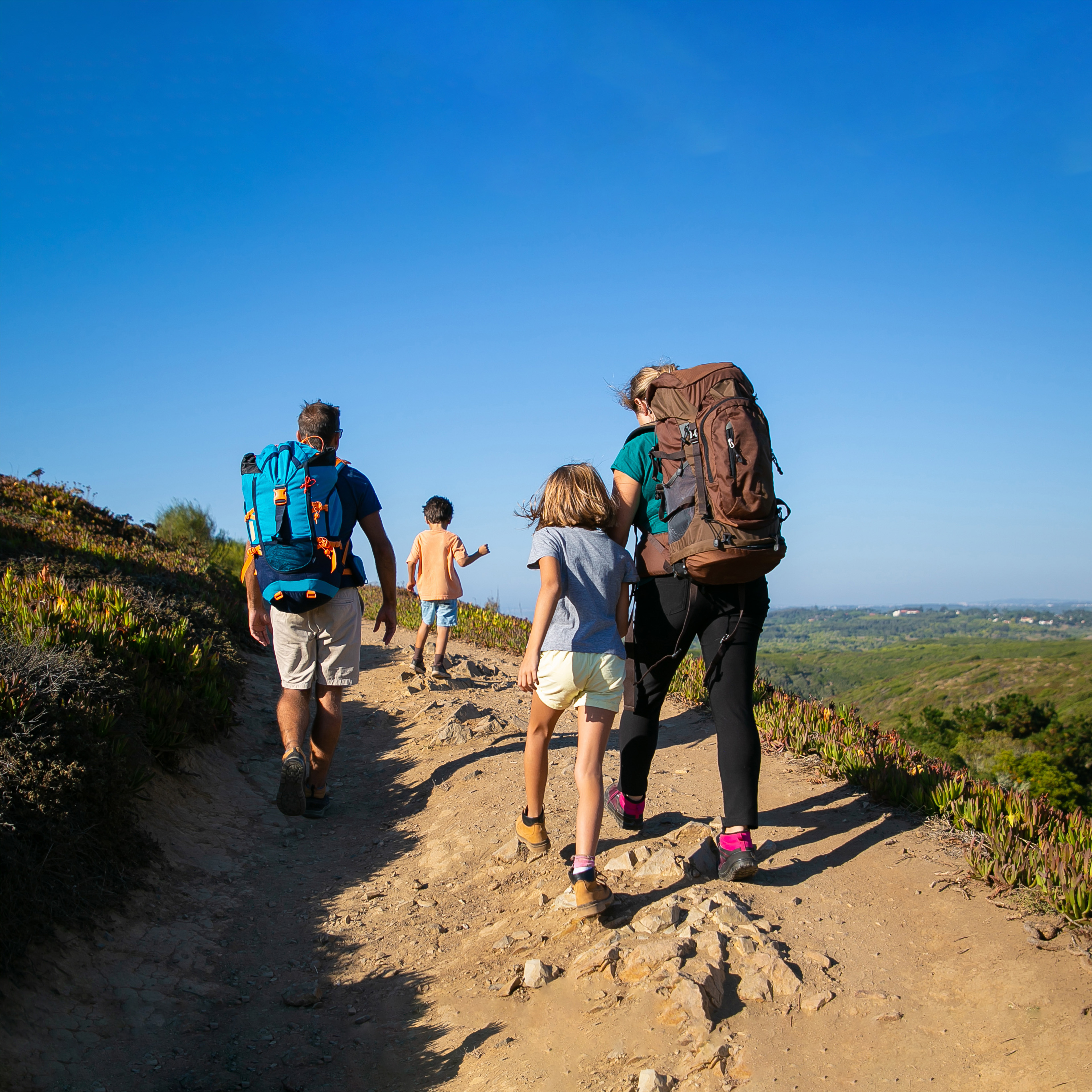 Mountains in the Clouds